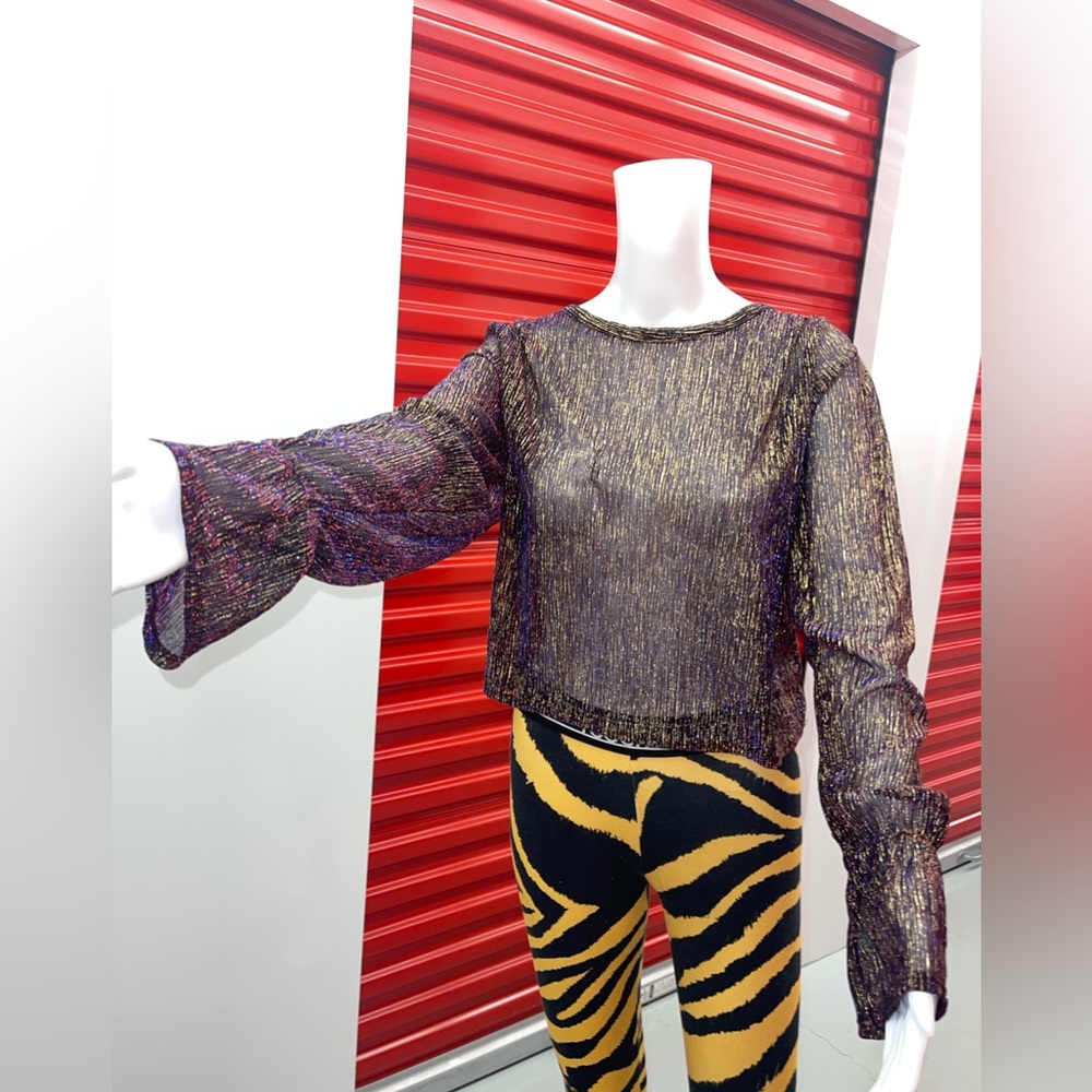 Zara Sheer Metallic Long-Sleeve Top in Black and Gold
